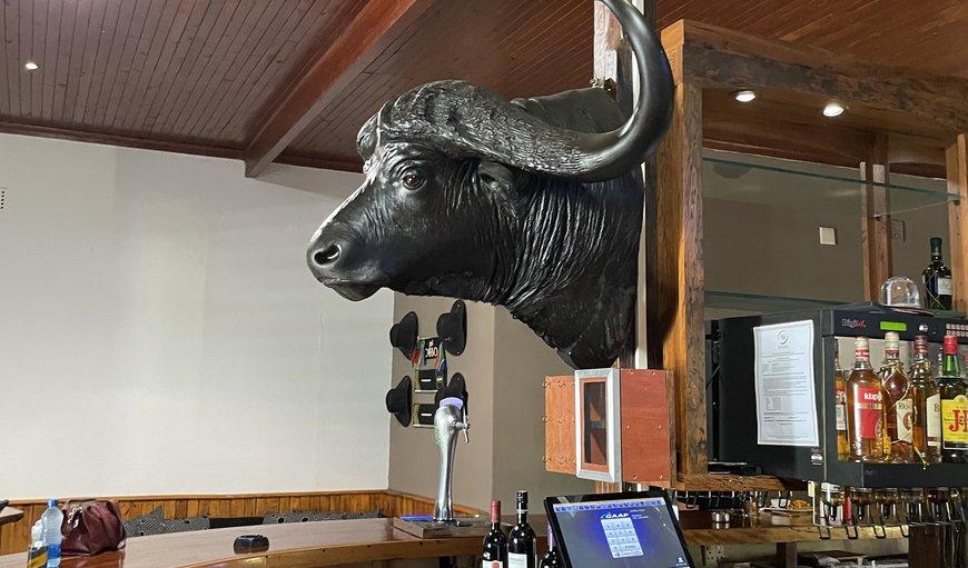 Buffalo Hotel Hectorspruit Buitenkant foto